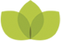 Nootropic